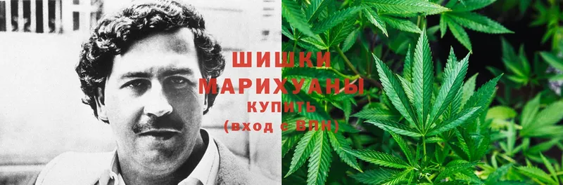 Конопля LSD WEED  наркотики  кракен сайт  Отрадная 